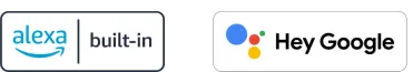 Voice Assistants