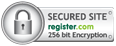 Security logo