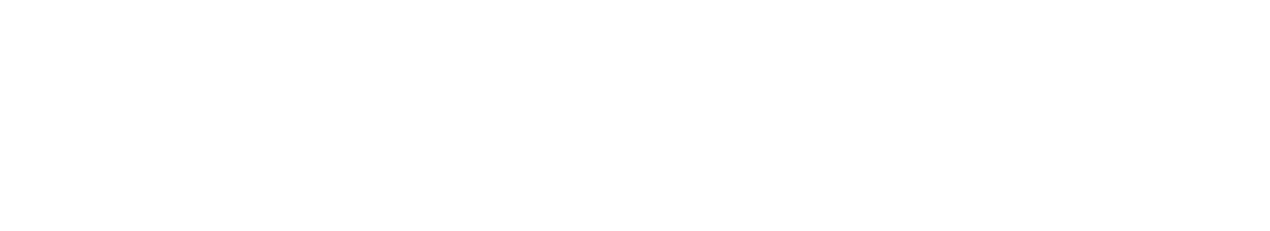Quantum 600