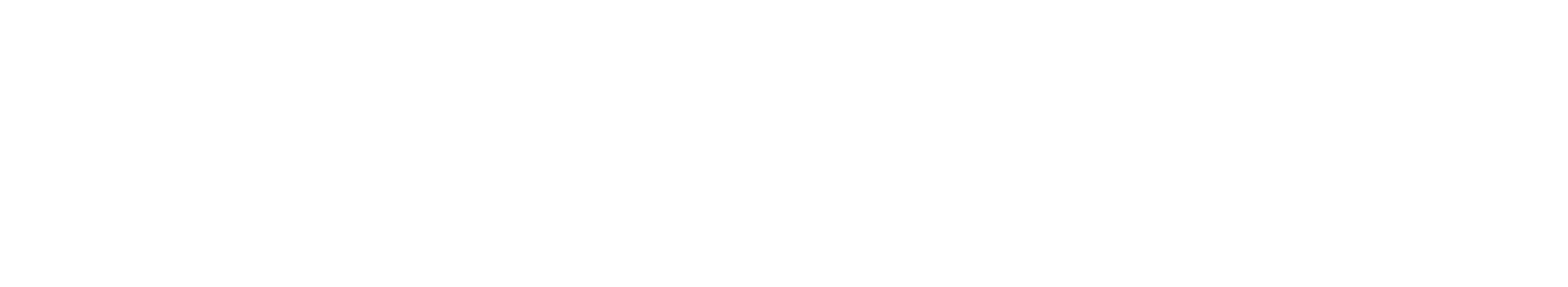 Quantum 400